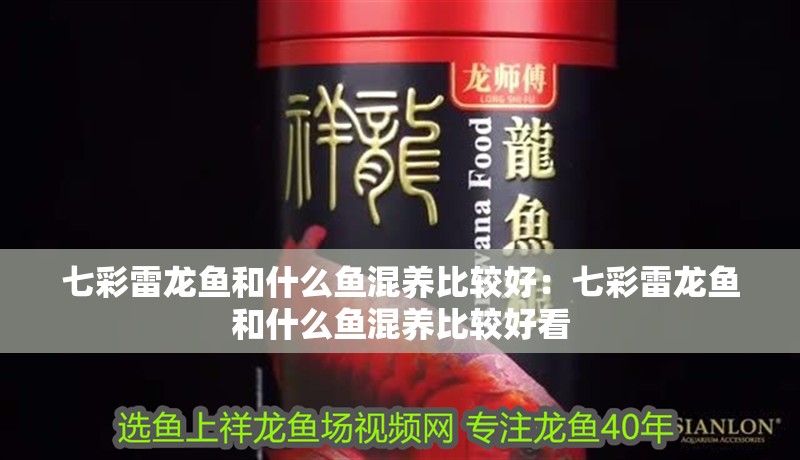 七彩雷龍魚(yú)和什么魚(yú)混養(yǎng)比較好：七彩雷龍魚(yú)和什么魚(yú)混養(yǎng)比較好看