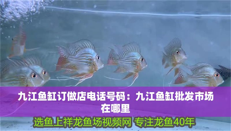 九江魚缸訂做店電話號碼：九江魚缸批發市場在哪里