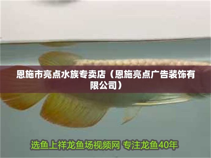 恩施市亮點水族專賣店（恩施亮點廣告裝飾有限公司）