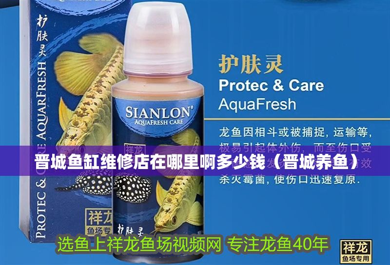 晉城魚缸維修店在哪里啊多少錢（晉城養魚） 晉城魚缸維修店在哪里啊多少錢（晉城養魚） 虎魚百科 第1張