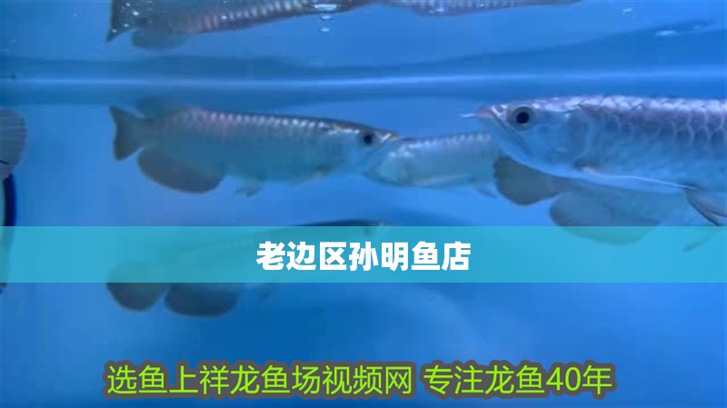 老邊區孫明魚店 老邊區孫明魚店 全國水族館企業名錄 第2張