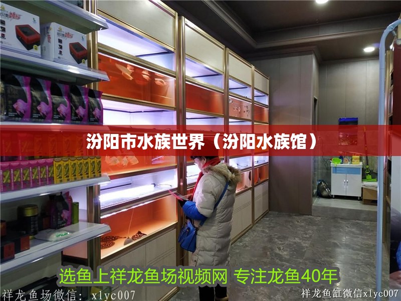 汾陽市水族世界（汾陽水族館）