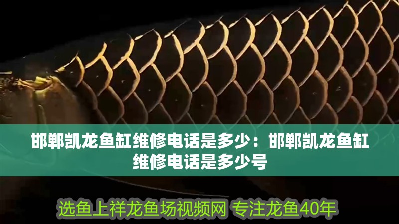 邯鄲凱龍魚缸維修電話是多少：邯鄲凱龍魚缸維修電話是多少號