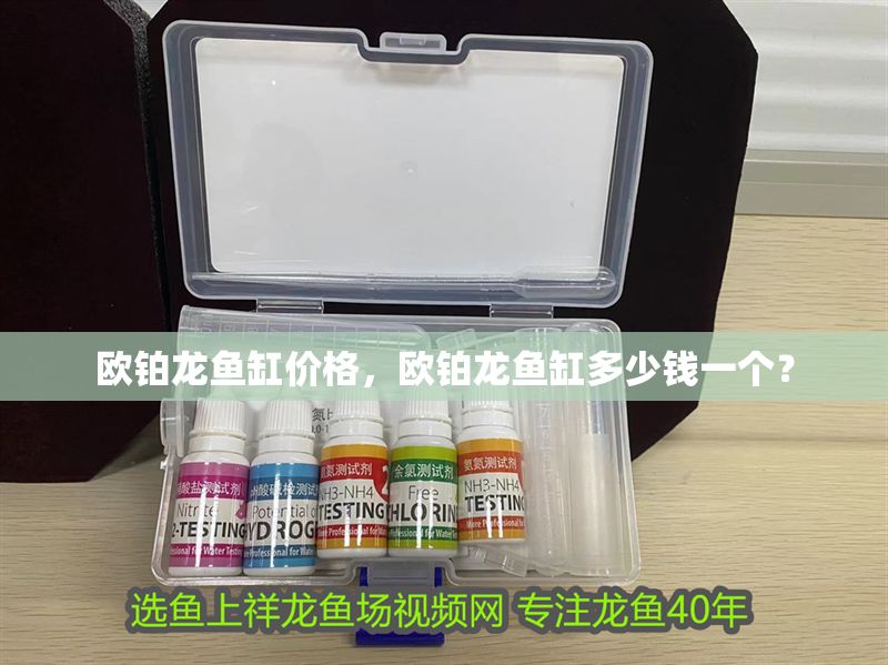 歐鉑龍魚缸價格，歐鉑龍魚缸多少錢一個？