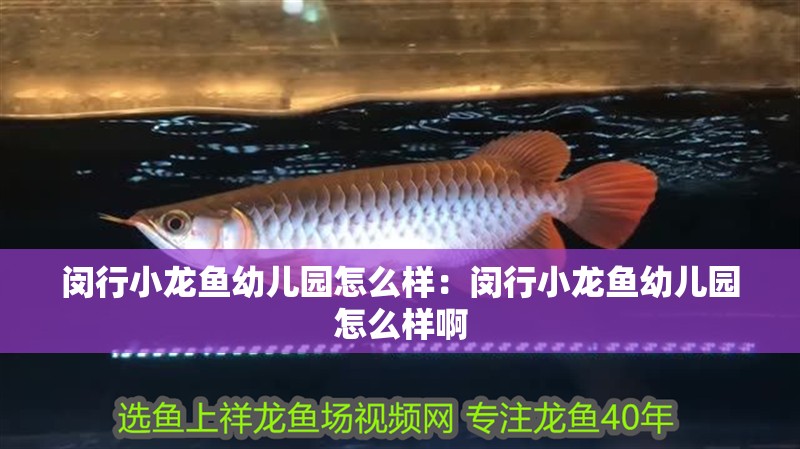 閔行小龍魚幼兒園怎么樣：閔行小龍魚幼兒園怎么樣啊