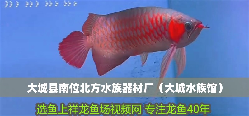 大城縣南位北方水族器材廠（大城水族館）