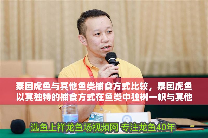 泰國虎魚與其他魚類捕食方式比較，泰國虎魚以其獨特的捕食方式在魚類中獨樹一幟與其他魚類相比
