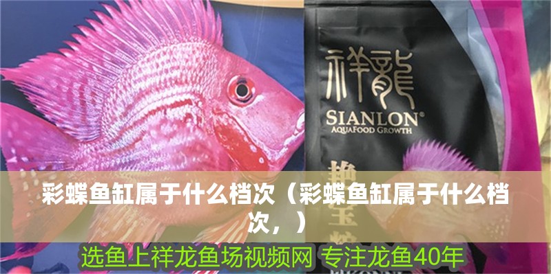 彩蝶魚缸屬于什么檔次（彩蝶魚缸屬于什么檔次，）