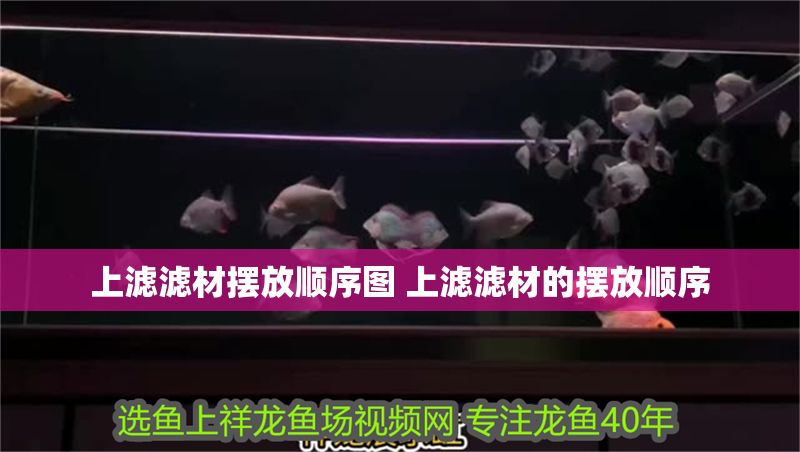 上濾濾材擺放順序圖 上濾濾材的擺放順序