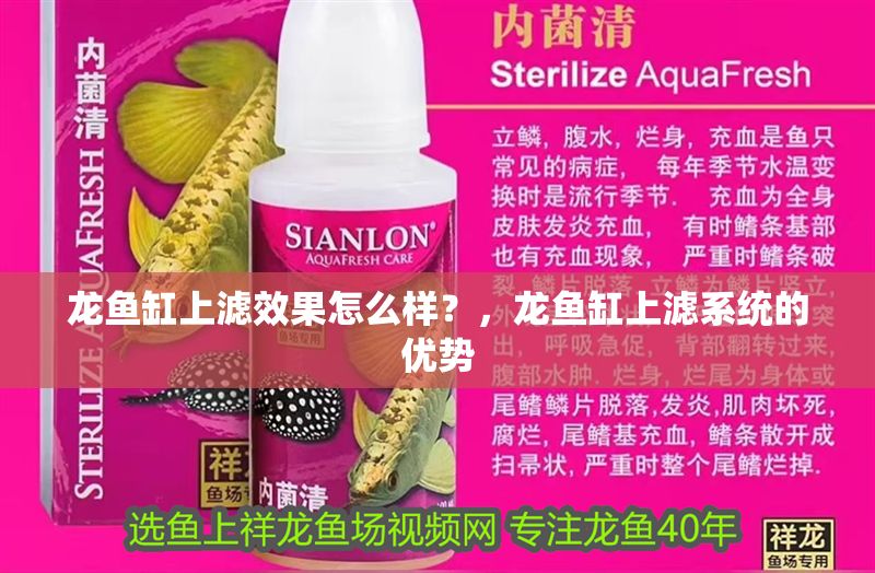 龍魚缸上濾效果怎么樣？，龍魚缸上濾系統的優勢