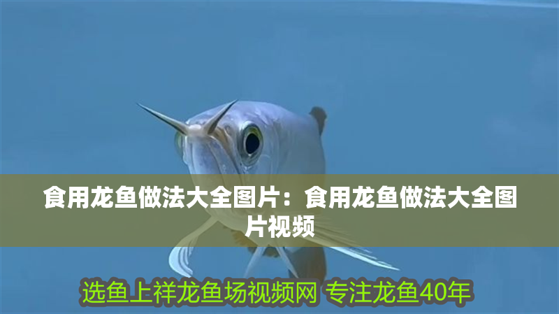 食用龍魚做法大全圖片：食用龍魚做法大全圖片視頻
