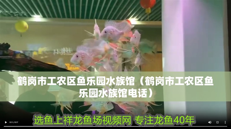 鶴崗市工農區魚樂園水族館（鶴崗市工農區魚樂園水族館電話）