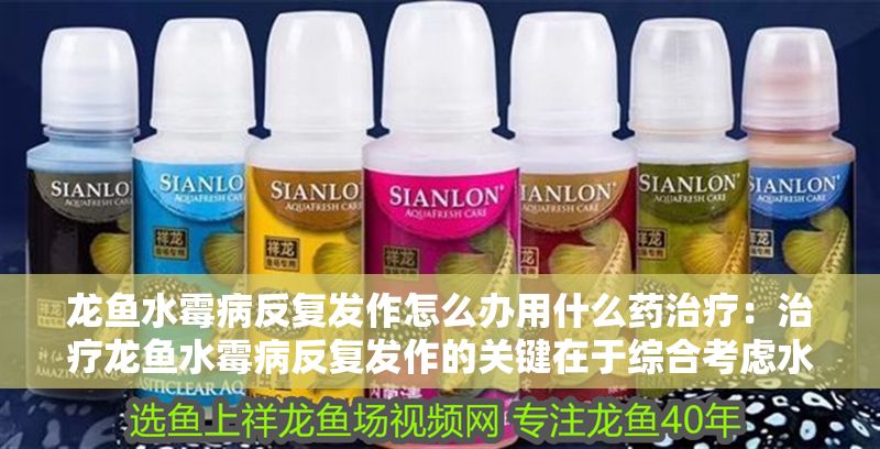 龍魚水霉病反復(fù)發(fā)作怎么辦用什么藥治療：治療龍魚水霉病反復(fù)發(fā)作的關(guān)鍵在于綜合考慮水質(zhì)管理、治療方法