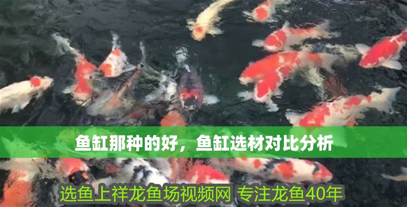 魚缸那種的好，魚缸選材對比分析