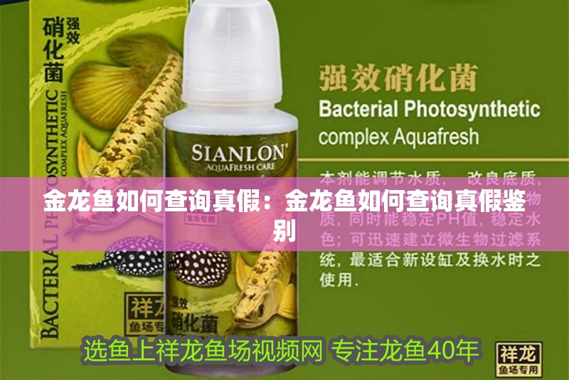 金龍魚如何查詢真假：金龍魚如何查詢真假鑒別