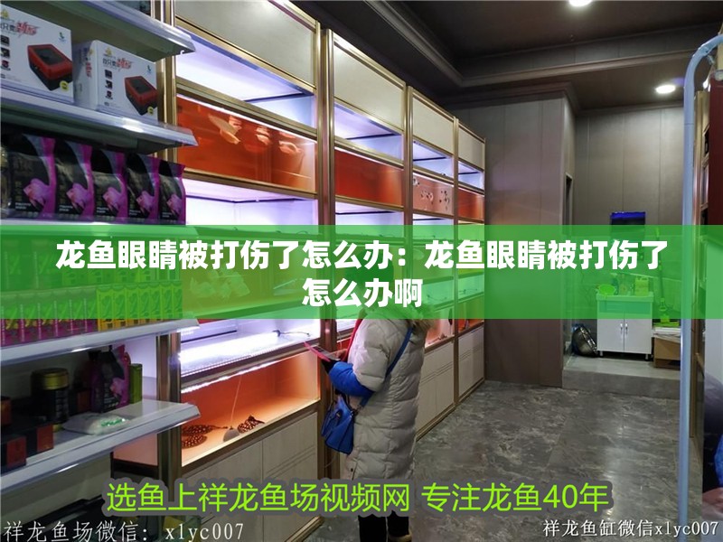 龍魚眼睛被打傷了怎么辦：龍魚眼睛被打傷了怎么辦啊