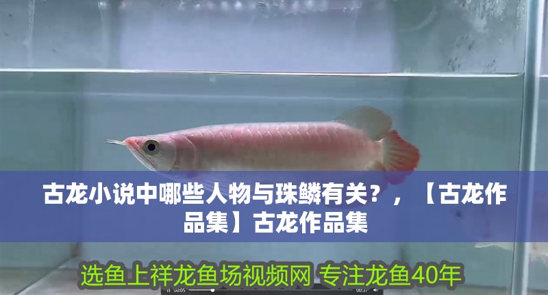 古龍小說中哪些人物與珠鱗有關？，【古龍作品集】古龍作品集