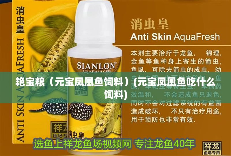 艷寶糧（元寶鳳凰魚飼料）(元寶鳳凰魚吃什么飼料)