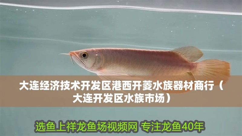 大連經濟技術開發區港西開菱水族器材商行（大連開發區水族市場）
