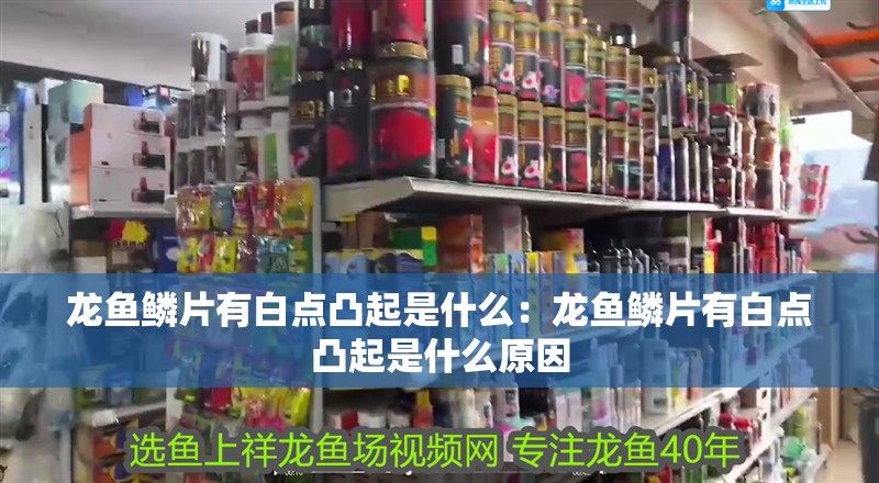 龍魚鱗片有白點凸起是什么：龍魚鱗片有白點凸起是什么原因