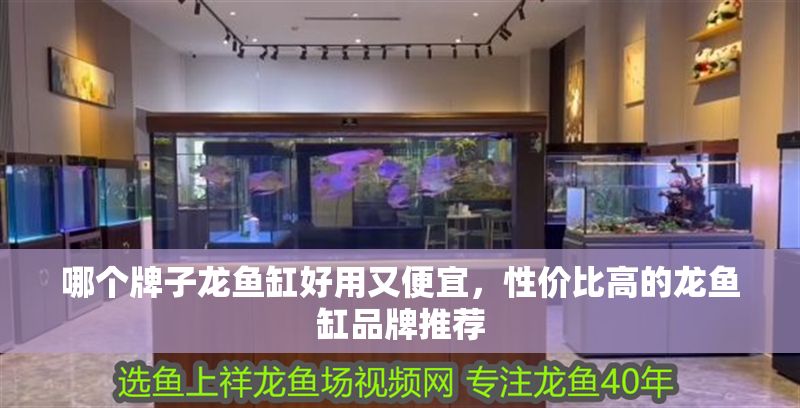 大型雷龍魚推薦魚缸，大型雷龍魚的魚缸推薦