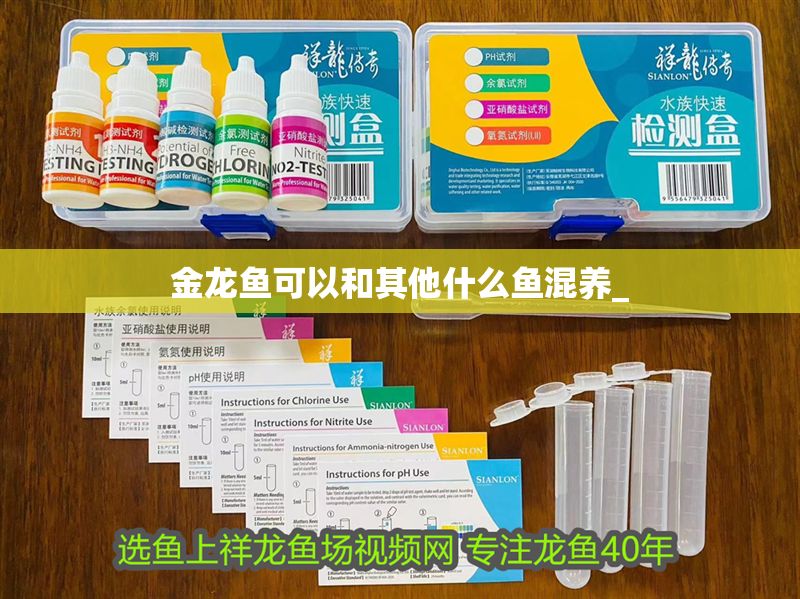 金龍魚可以和其他什么魚混養(yǎng)_