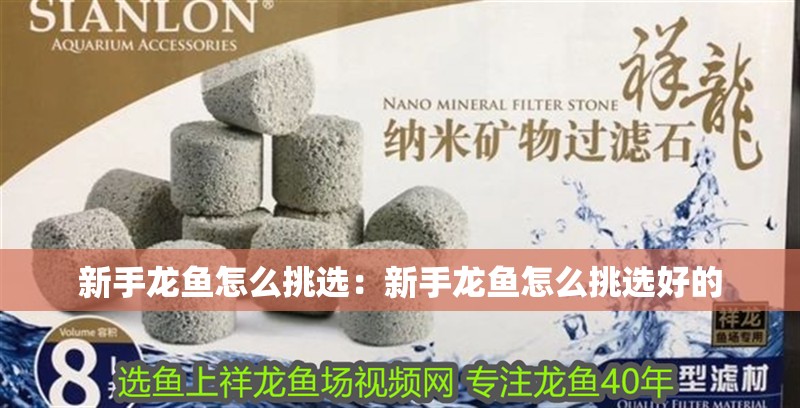 新手龍魚怎么挑選：新手龍魚怎么挑選好的