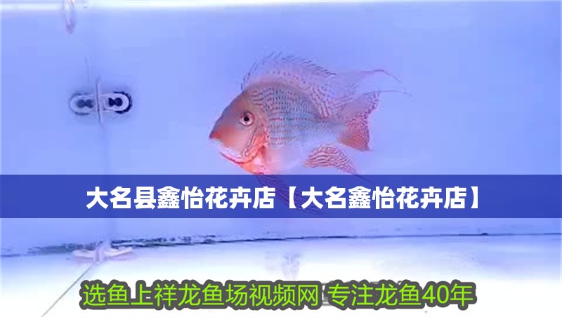 大名縣鑫怡花卉店【大名鑫怡花卉店】