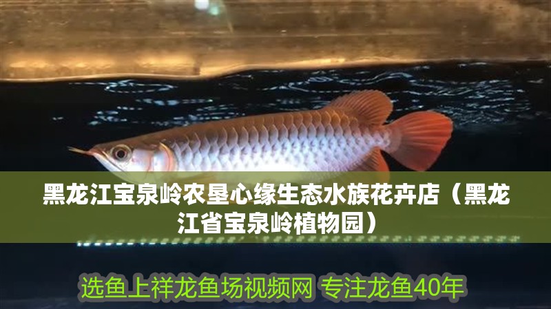 黑龍江寶泉嶺農墾心緣生態水族花卉店（黑龍江省寶泉嶺植物園）