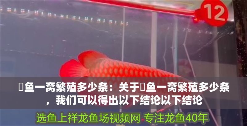 魟魚一窩繁殖多少條：關于魟魚一窩繁殖多少條，我們可以得出以下結論以下結論