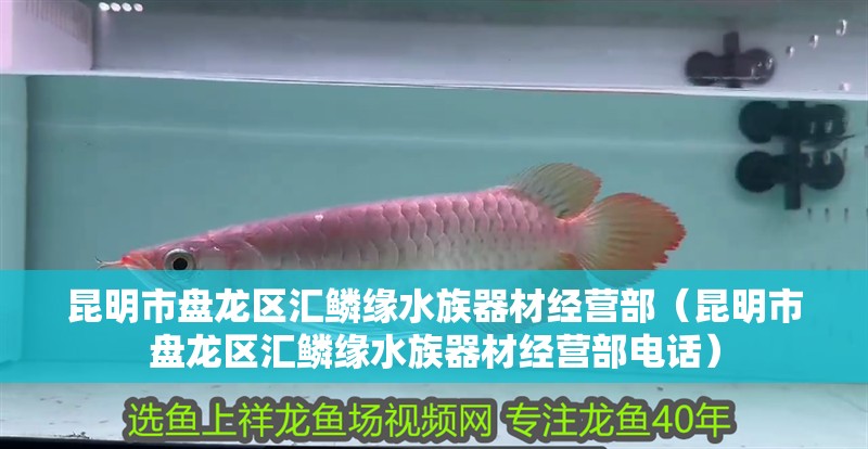 昆明市盤龍區(qū)匯鱗緣水族器材經(jīng)營(yíng)部（昆明市盤龍區(qū)匯鱗緣水族器材經(jīng)營(yíng)部電話）
