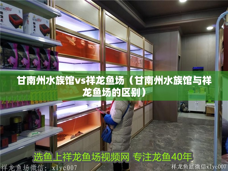 甘南州水族館vs祥龍魚場(chǎng)（甘南州水族館與祥龍魚場(chǎng)的區(qū)別）