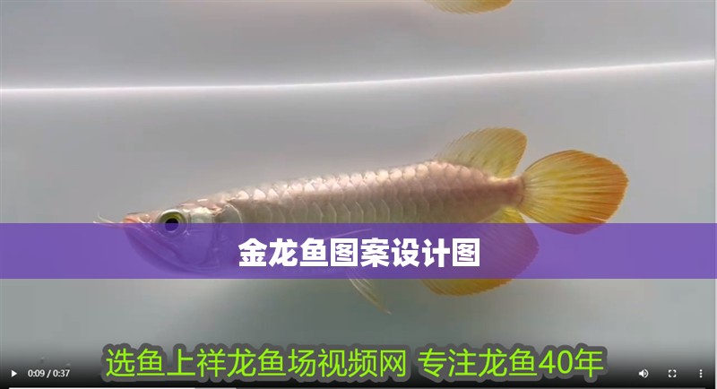 金龍魚圖案設計圖