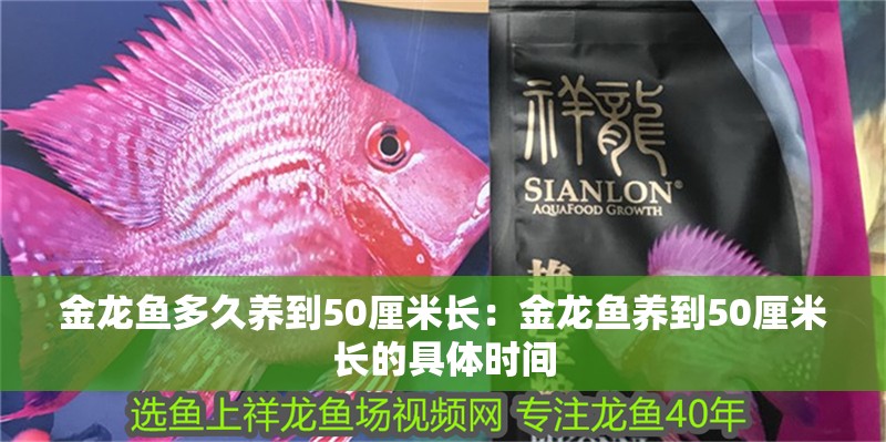 金龍魚多久養到50厘米長：金龍魚養到50厘米長的具體時間