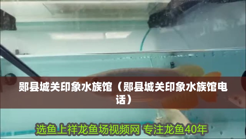 鄖縣城關印象水族館（鄖縣城關印象水族館電話）
