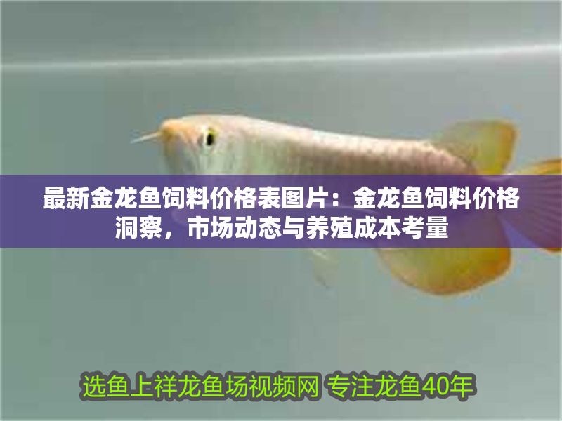 最新金龍魚飼料價格表圖片：金龍魚飼料價格洞察，市場動態與養殖成本考量