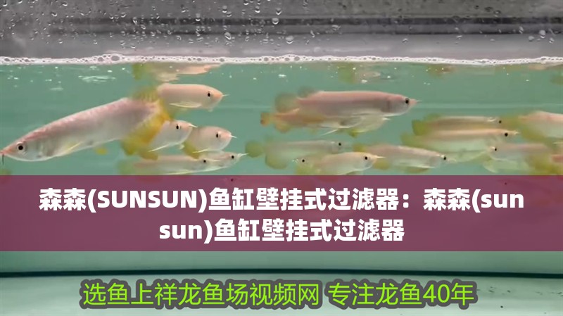 紅龍魚用黃燈烤有用嗎 森森(SUNSUN)魚缸壁掛式過濾器:森森(sunsun)魚缸壁掛式過濾器 魚缸百科 森森(SUNSUN)魚缸壁掛式過濾器:森森(sunsun)魚缸壁掛式過濾器 森森(SUNSUN)魚缸壁掛式過濾器:森森(sunsun)魚缸壁掛式過濾器 魚缸百科