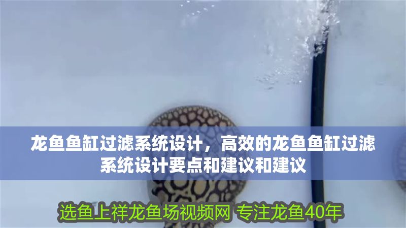龍魚魚缸過濾系統(tǒng)設(shè)計，高效的龍魚魚缸過濾系統(tǒng)設(shè)計要點和建議和建議