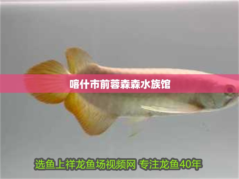 喀什市前蓉森森水族館