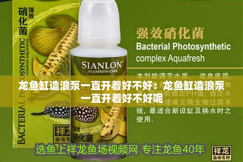 龍魚缸造浪泵一直開著好不好：龍魚缸造浪泵一直開著好不好呢 龍魚缸造浪泵一直開著好不好：龍魚缸造浪泵一直開著好不好呢 水族問答