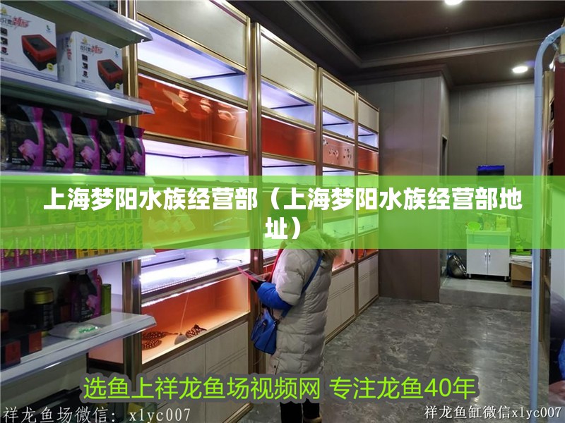 上海夢(mèng)陽(yáng)水族經(jīng)營(yíng)部（上海夢(mèng)陽(yáng)水族經(jīng)營(yíng)部地址）