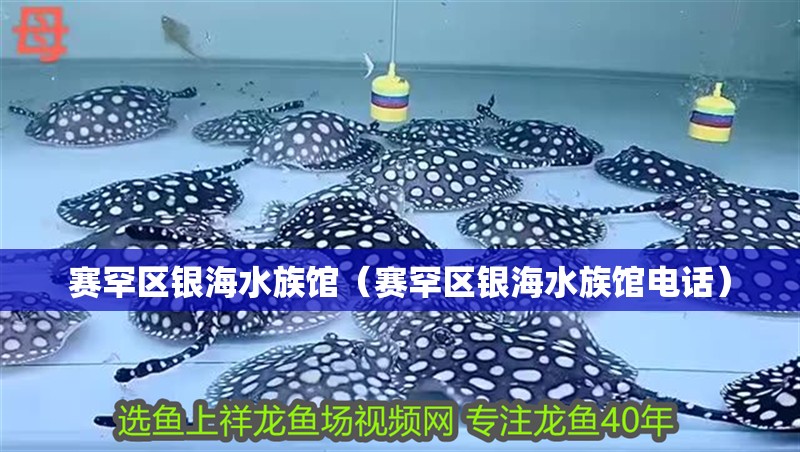 賽罕區(qū)銀海水族館（賽罕區(qū)銀海水族館電話）