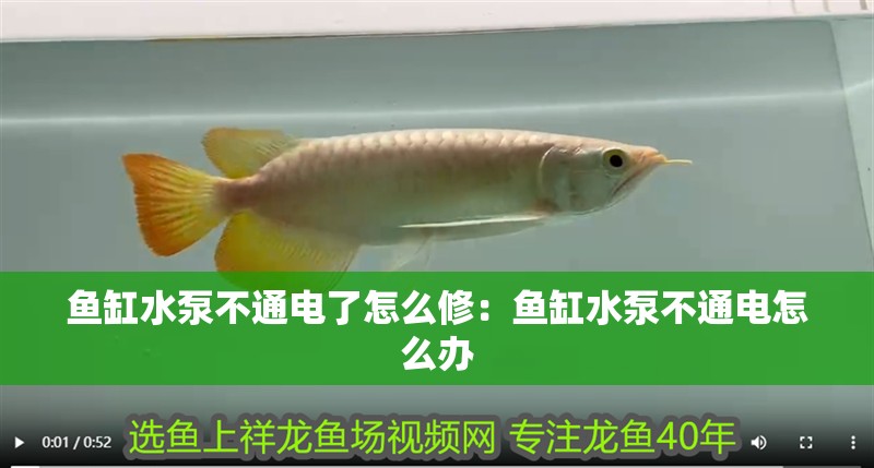 魚(yú)缸水泵不通電了怎么修：魚(yú)缸水泵不通電怎么辦