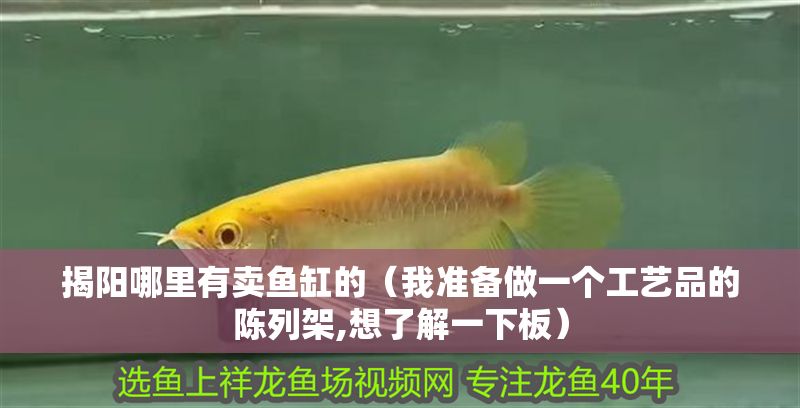 揭陽哪里有賣魚缸的（我準備做一個工藝品的陳列架,想了解一下板）