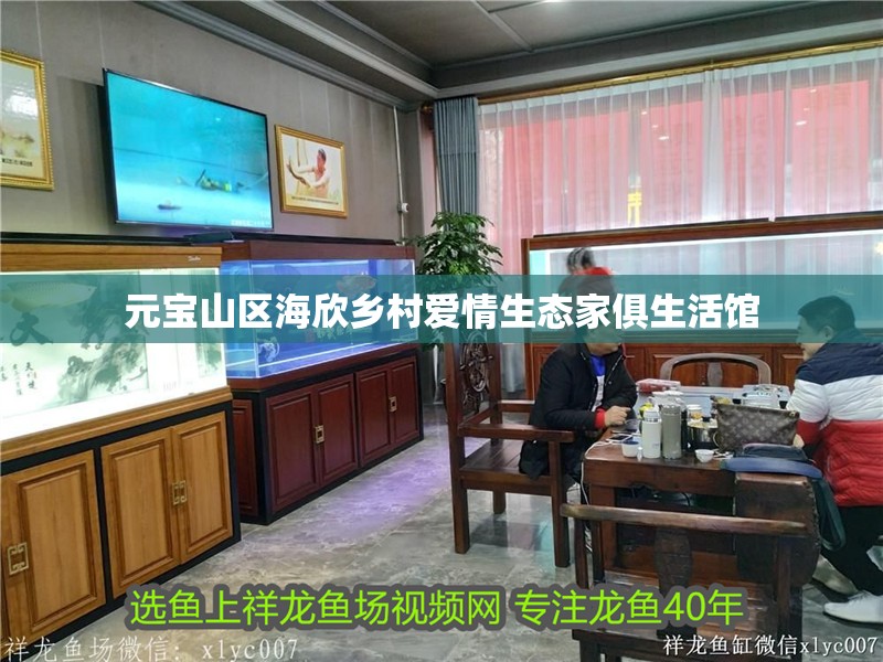 元寶山區海欣鄉村愛情生態家俱生活館
