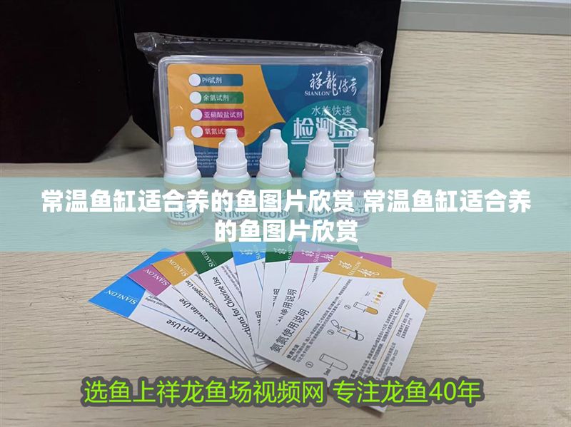 常溫魚缸適合養(yǎng)的魚圖片欣賞 常溫魚缸適合養(yǎng)的魚圖片欣賞