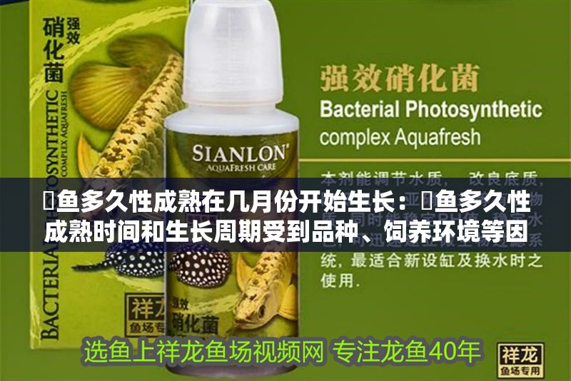 魟魚多久性成熟在幾月份開始生長：魟魚多久性成熟時間和生長周期受到品種、飼養(yǎng)環(huán)境等因素影響