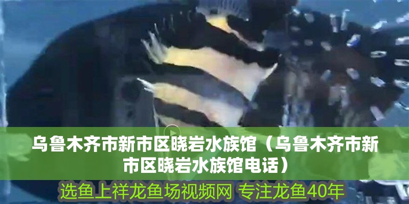 烏魯木齊市新市區(qū)曉巖水族館（烏魯木齊市新市區(qū)曉巖水族館電話）