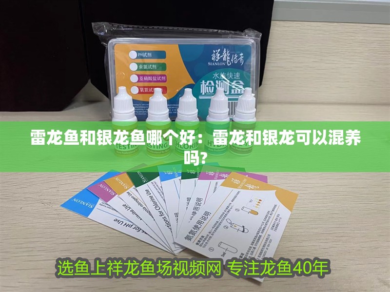 雷龍魚和銀龍魚哪個好：雷龍和銀龍可以混養嗎?
