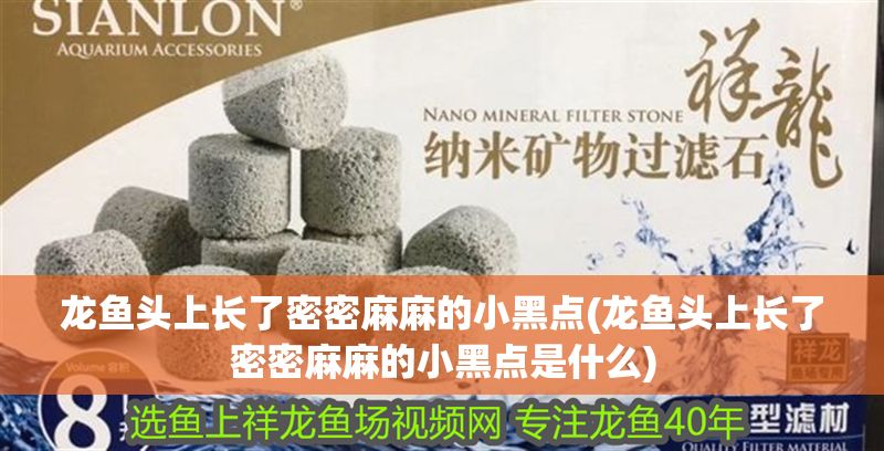 龍魚頭上長了密密麻麻的小黑點(龍魚頭上長了密密麻麻的小黑點是什么) 龍魚百科 第1張 龍魚頭上長了密密麻麻的小黑點(龍魚頭上長了密密麻麻的小黑點是什么) 龍魚頭上長了密密麻麻的小黑點(龍魚頭上長了密密麻麻的小黑點是什么) 龍魚百科 第1張